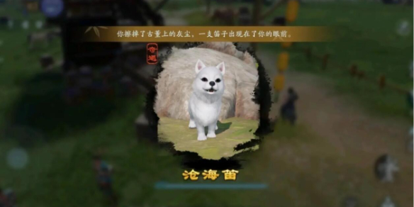 黑暗之梦存档位置在哪里？详细解析与实用技巧