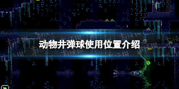 英雄联盟龙王玩法解析：掌握龙王之道，称霸召唤峡谷