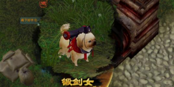 《RisingStorm2进入时间长怎么办？优化游戏加载速度的实用技巧》